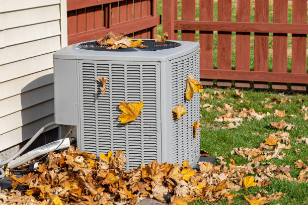 Best Best HVAC companies  in Live Oak, TX